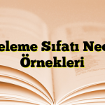 Niteleme Sıfatı Nedir? Örnekleri