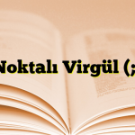 Noktalı Virgül (;)