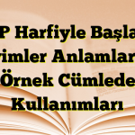 O Ö P Harfiyle Başlayan Deyimler Anlamları ve Örnek Cümlede Kullanımları