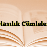 Olasılık Cümleleri