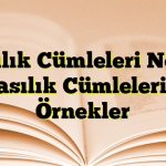 Olasılık Cümleleri Nedir? Olasılık Cümlelerine Örnekler