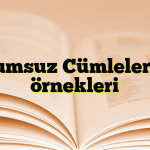 Olumsuz Cümleler ve örnekleri