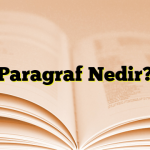 Paragraf Nedir?