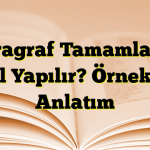 Paragraf Tamamlama Nasıl Yapılır? Örneklerle Anlatım