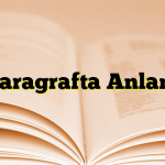 Paragrafta Anlam