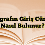 Paragrafın Giriş Cümlesi Nasıl Bulunur?