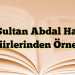 Pir Sultan Abdal Hayatı ve Şiirlerinden Örnekler