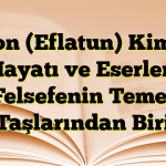 Platon (Eflatun) Kimdir? Hayatı ve Eserleri Felsefenin Temel Taşlarından Biri