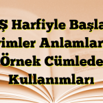 R S Ş Harfiyle Başlayan Deyimler Anlamları ve Örnek Cümlede Kullanımları