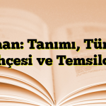 Roman: Tanımı, Türleri, Tarihçesi ve Temsilcileri