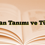 Roman Tanımı ve Türleri