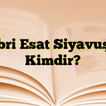 Sabri Esat Siyavuşgil Kimdir?