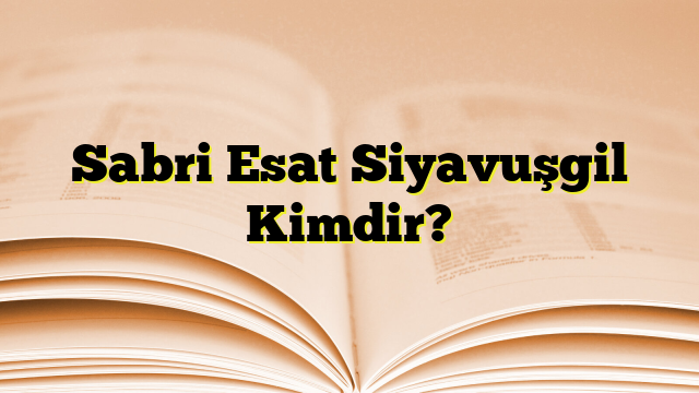 Sabri Esat Siyavuşgil Kimdir?