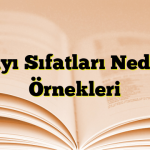 Sayı Sıfatları Nedir? Örnekleri