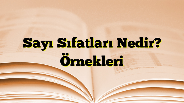 Sayı Sıfatları Nedir? Örnekleri