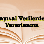 Sayısal Verilerden Yararlanma