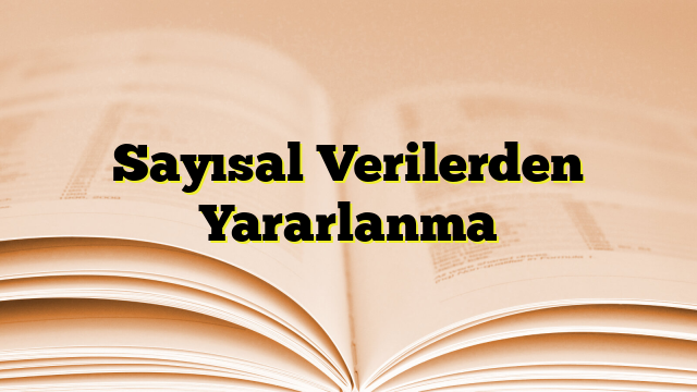 Sayısal Verilerden Yararlanma