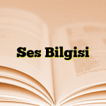 Ses Bilgisi