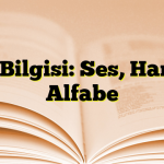 Ses Bilgisi: Ses, Harf ve Alfabe