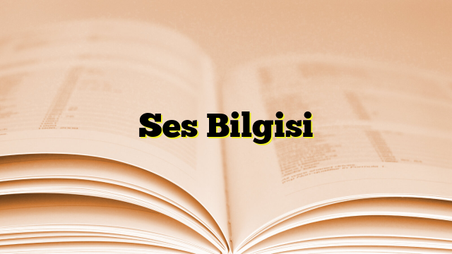 Ses Bilgisi