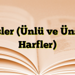 Sesler (Ünlü ve Ünsüz Harfler)