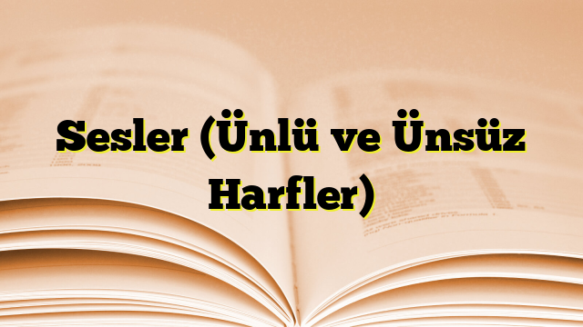 Sesler (Ünlü ve Ünsüz Harfler)