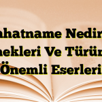 Seyahatname Nedir? İlk Örnekleri Ve Türünün Önemli Eserleri