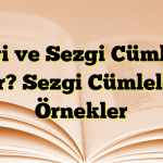 Sezgi ve Sezgi Cümleleri Nedir? Sezgi Cümlelerine Örnekler