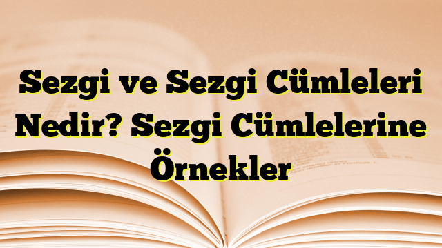 Sezgi ve Sezgi Cümleleri Nedir? Sezgi Cümlelerine Örnekler