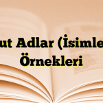 Somut Adlar (İsimler) ve Örnekleri