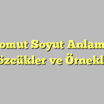 Somut Soyut Anlamlı Sözcükler ve Örnekler