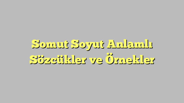 Somut Soyut Anlamlı Sözcükler ve Örnekler