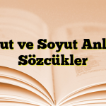 Somut ve Soyut Anlamlı Sözcükler