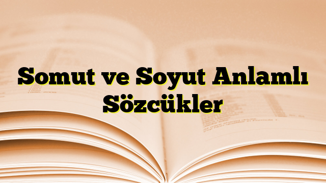 Somut ve Soyut Anlamlı Sözcükler