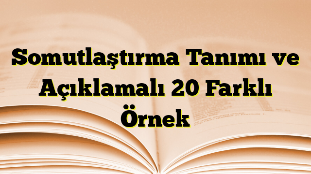 Somutlaştırma Tanımı ve Açıklamalı 20 Farklı Örnek