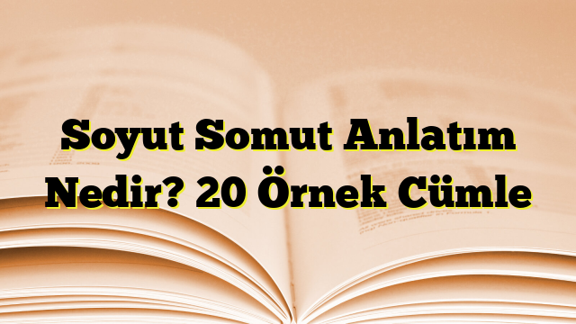 Soyut Somut Anlatım Nedir? 20 Örnek Cümle