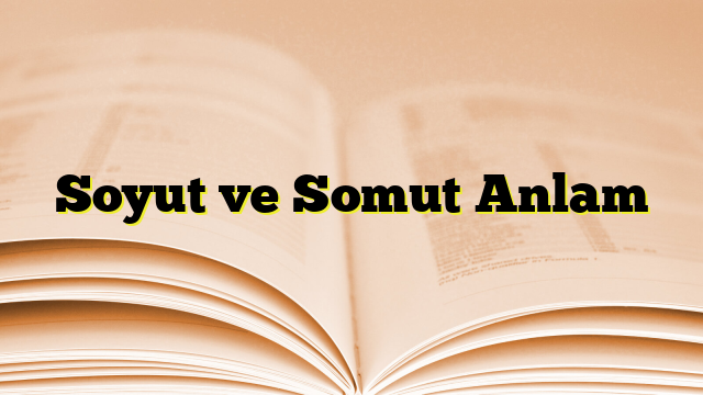 Soyut ve Somut Anlam