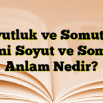 Soyutluk ve Somutluk Yani Soyut ve Somut Anlam Nedir?