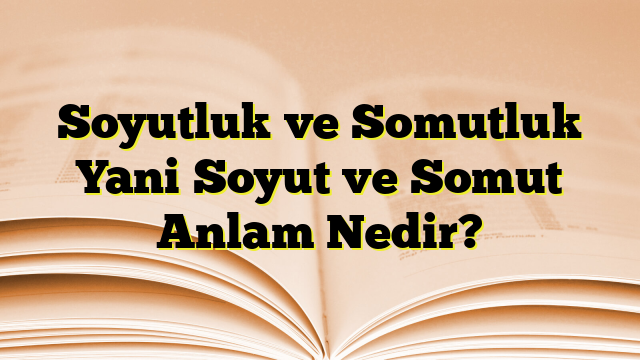 Soyutluk ve Somutluk Yani Soyut ve Somut Anlam Nedir?