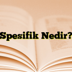 Spesifik Nedir?