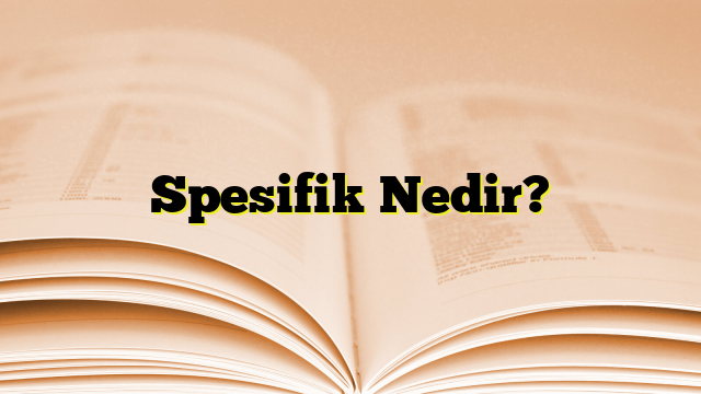 Spesifik Nedir?