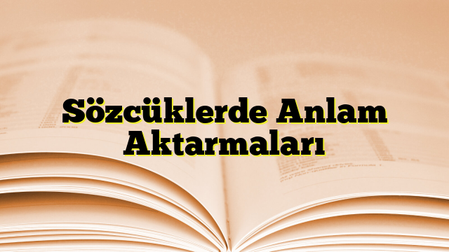 Sözcüklerde Anlam Aktarmaları