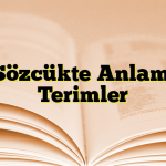 Sözcükte Anlam: Terimler