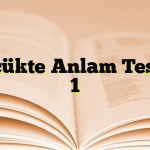 Sözcükte Anlam Testleri 1