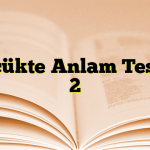 Sözcükte Anlam Testleri 2