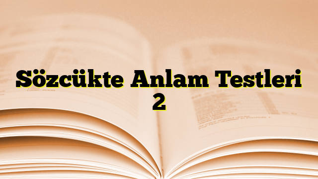 Sözcükte Anlam Testleri 2