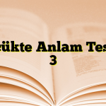 Sözcükte Anlam Testleri 3