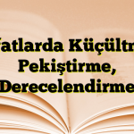 Sıfatlarda Küçültme, Pekiştirme, Derecelendirme