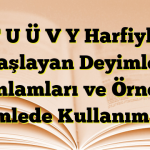 T U Ü V Y Harfiyle Başlayan Deyimler Anlamları ve Örnek Cümlede Kullanımları