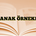 TUTANAK ÖRNEKLERİ